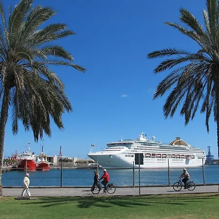 Lively Bonamar